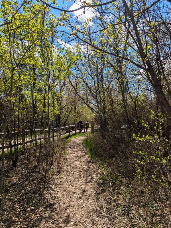 A beautiful spring trail scene at Henteleff Park